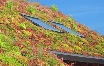 Palehouse Common living roof systems