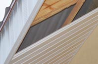 rated Palehouse Common soffit repair companies